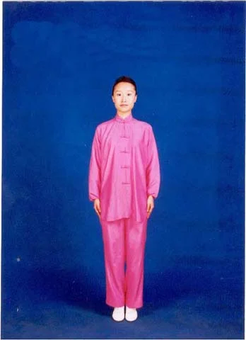 第八式:提踵站立的定式示范